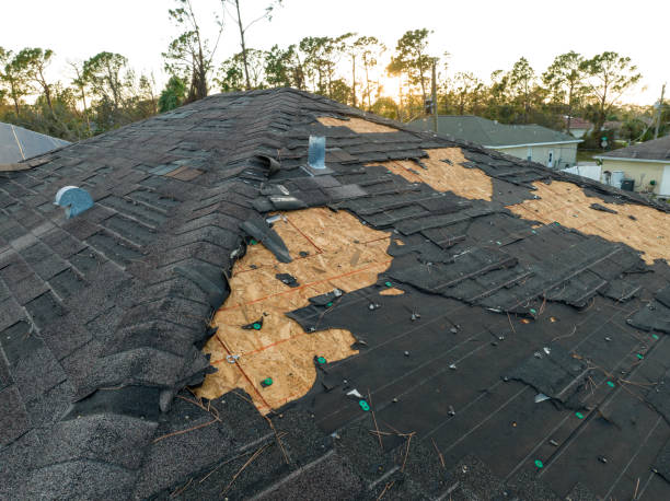 Best Storm Damage Roof Repair  in Lugoff, SC