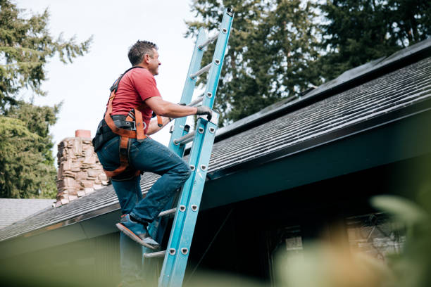 Best Roof Maintenance and Cleaning  in Lugoff, SC