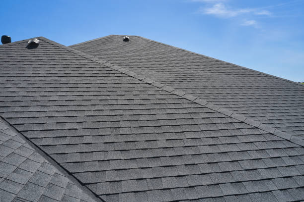 Best Roof Coating and Sealing  in Lugoff, SC